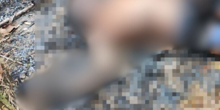 Veja: Homem cai 'mortinho' após ser eletrocutado tentando roubar fios de poste no AM