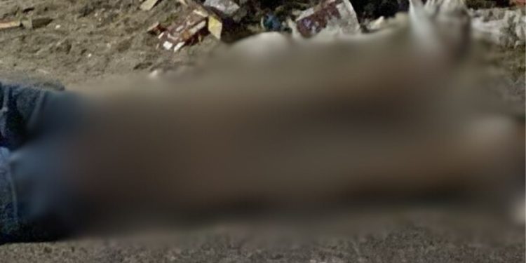 Após sons de tiros, moradores acham homem morto e com a orelha decepada na ZL; imagem forte