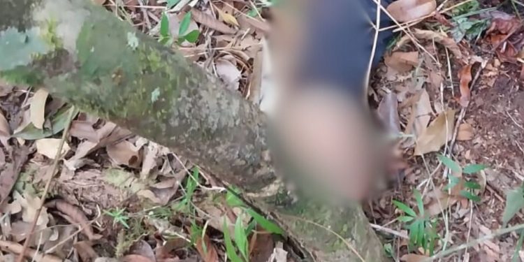 IMAGEM FORTE: Amigos recebem ligação anônima e acham empresário morto com tiros na cabeça na AM-010