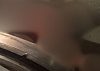 Homem que estava há uma semana fora da cadeia é morto a tiros na Compensa