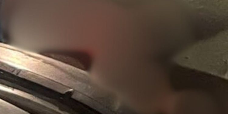 Homem que estava há uma semana fora da cadeia é morto a tiros na Compensa