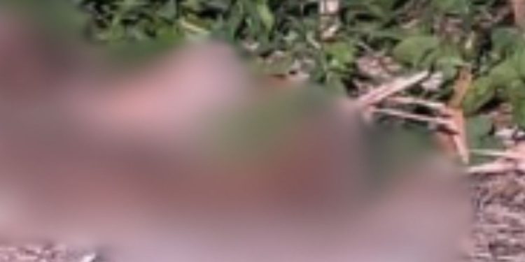 No Novo Aleixo, homem é achado sem vida com bilhete escrito: “morri porque sou Jack”