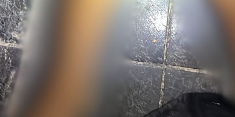 Pistoleiros erram o alvo e matam homem por engano dentro de vila de kitnet no Novo Aleixo; veja