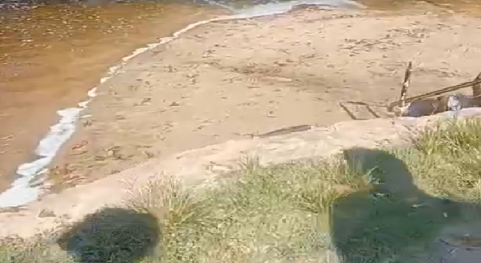 O casal teve que procurar outro lugar mais apropriado. Foto: Reprodução