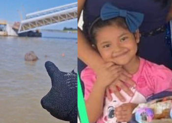 As buscas continuam nesta terça-feira (8). Foto: Reprodução