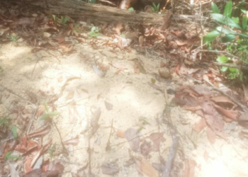 O corpo já estava em decomposição. Foto: Reprodução