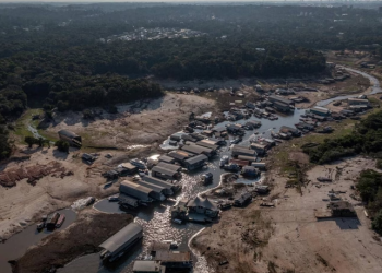Até este momento, a Defesa Civil do Amazonas informou que 747.642 pessoas são afetadas diretamente pela estiagem no estado. Foto: Greenpeace - Divulgação