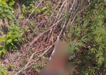 Homem é achado jogado no mato com fac@das pelo corpo no Tarumã; veja o vídeo