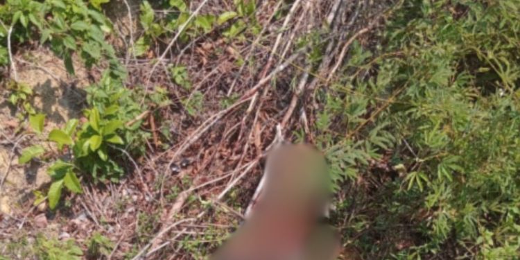 Homem é achado jogado no mato com fac@das pelo corpo no Tarumã; veja o vídeo