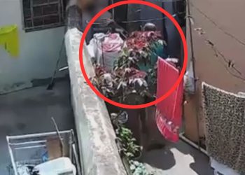 Pai bate no filho autista com vassoura e justifica após ser preso: 'grita muito' - ASSISTA