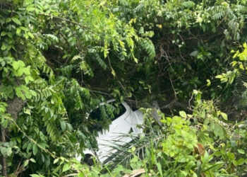 O acidente aconteceu na manhã desta quarta-feira (13). Foto: Reprodução