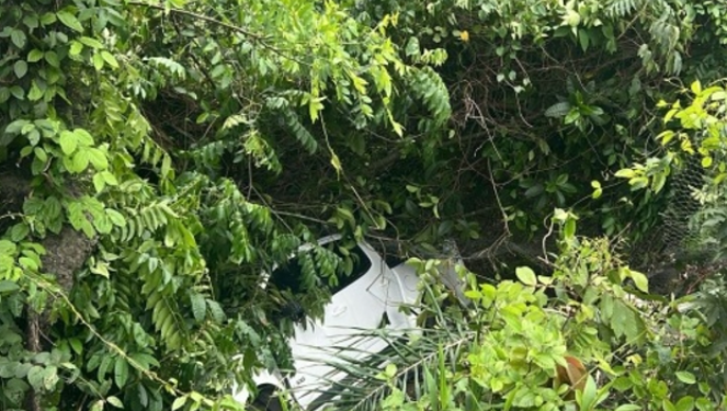 O acidente aconteceu na manhã desta quarta-feira (13). Foto: Reprodução