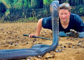 Graham “Dingo” Dinkelman morreu aos 44 anos no último final de semana. Foto: Reprodução