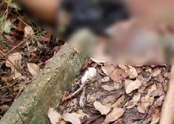 Os corpos serão removidos pelo Instituto Médico Legal (IML). Foto: Reprodução