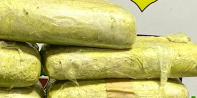 Homem tenta a sorte de viajar com mala 'até o tucupi' de dr0g@s e acaba preso em Coari