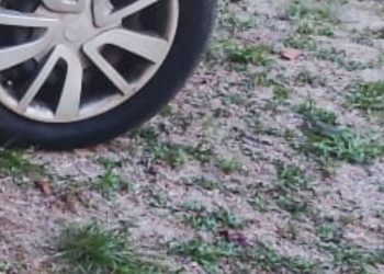 Com sinais severos de t0rtur@, homem é achado m0rt0 na zona rural de Manaus; veja a foto