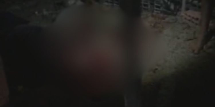 Vídeo forte: Vulgo 'Rato' fica irreconhecível após ter a cabeça 'pipocada' de t1ros