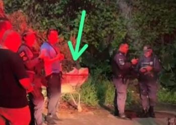 Moradores encontraram homem m0rt0 dentro de carrinho de compras na zona norte de Manaus