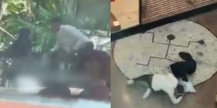 O crime ocorreu na manhã deste sábado (14) e um homem foi preso. Foto: Reprodução