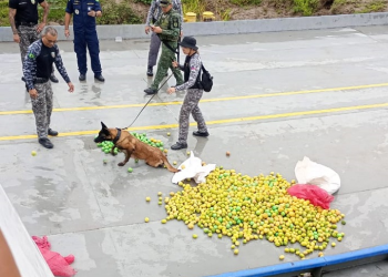 O entorpecente estava na embarcação abordada próximo a Coari (a 363 quilômetros de Manaus), escondido em três sacos de fibra. Foto: Divulgação