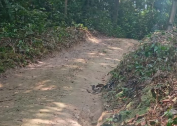 A fiação, que no ramal acaba sendo presa de forma precária, acabou caindo em cima dele e causando choques elétricos. Foto: Reprodução