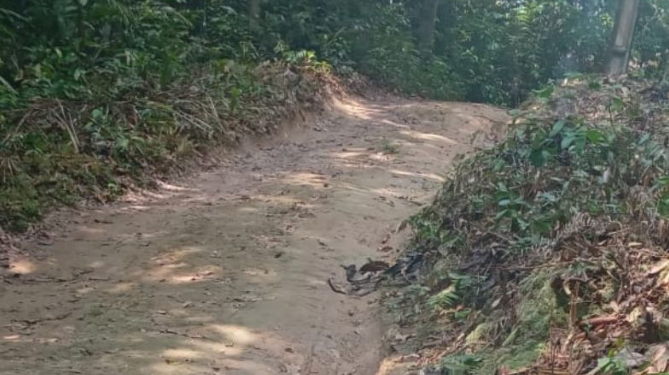 A fiação, que no ramal acaba sendo presa de forma precária, acabou caindo em cima dele e causando choques elétricos. Foto: Reprodução