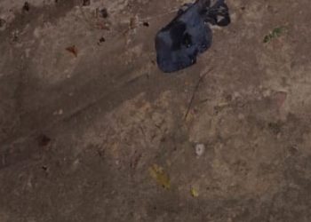 Corpo é achado carb0nizad0 na zona leste de Manaus; veja o vídeo