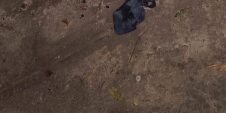 Corpo é achado carb0nizad0 na zona leste de Manaus; veja o vídeo