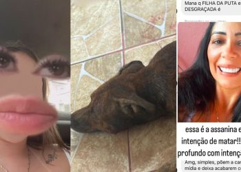 Mulher acusa a tia de m@tar seu cachorro esf@que@d0 em Iranduba: 'sem só nem piedade'