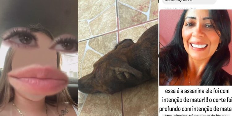 Mulher acusa a tia de m@tar seu cachorro esf@que@d0 em Iranduba: 'sem só nem piedade'