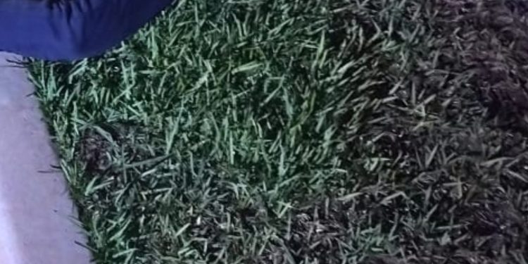 Homem é achado m0rt0 à beira da rua do Parque Mosaico com 5 d1spar0s no corpo