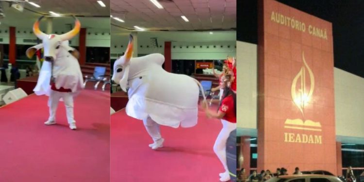 Vídeo: Apresentação do Garantido no auditório Canaã causa polêmica em Manaus