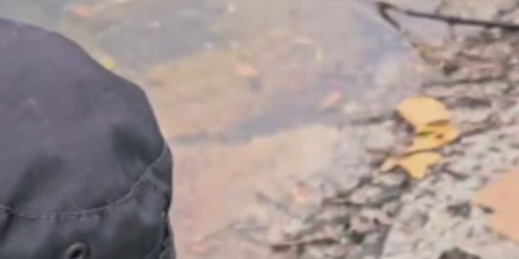 Policiais ajudam indígena de 13 anos que entrou em trabalho de parto no AM