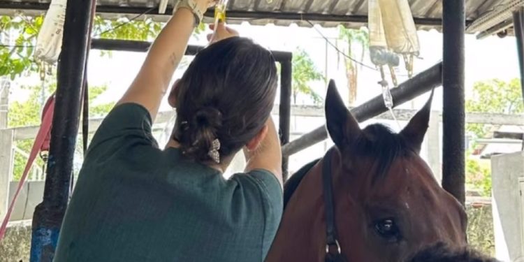 As mortes estão sendo investigadas. Foto: Divulgação