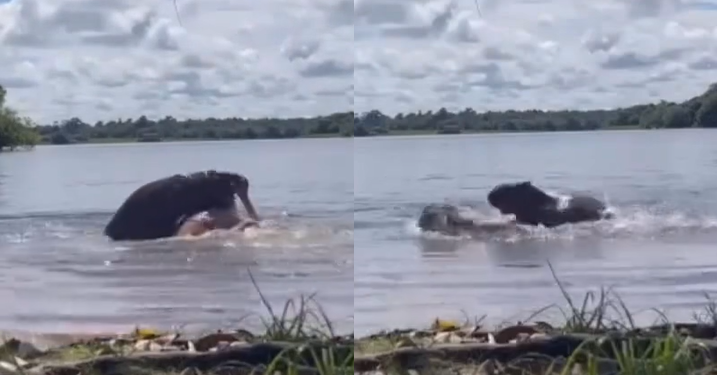 A menina sofreu vários cortes e diz que ficou com uma cicatriz. Foto: Reprodução