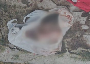 Feto já estava todo perfeitinho e com aproximadamente 40 semanas. Foto: Divulgação