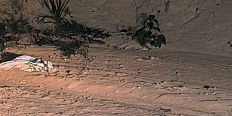Homem é achado com t1r0s na cabeça no Ramal do Brasileirinho