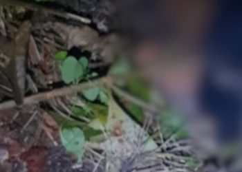 Rapaz de 20 anos é achado m0rt0 com c0rtes de terçado na cabeça no AM