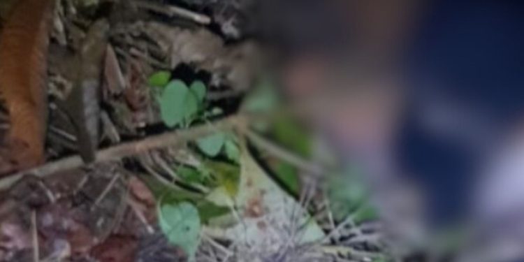 Rapaz de 20 anos é achado m0rt0 com c0rtes de terçado na cabeça no AM