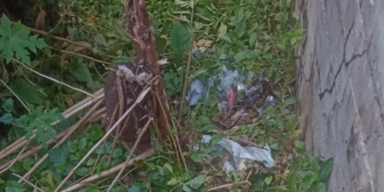 Imagem forte: Homem é achado m0rt0 com sete t1r0s no c0rpo em Manaus