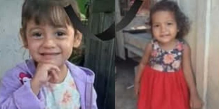 Meninas de 2 e 4 anos m0rrem af0gad4s ao cair em viveiro de peixe no Amazonas