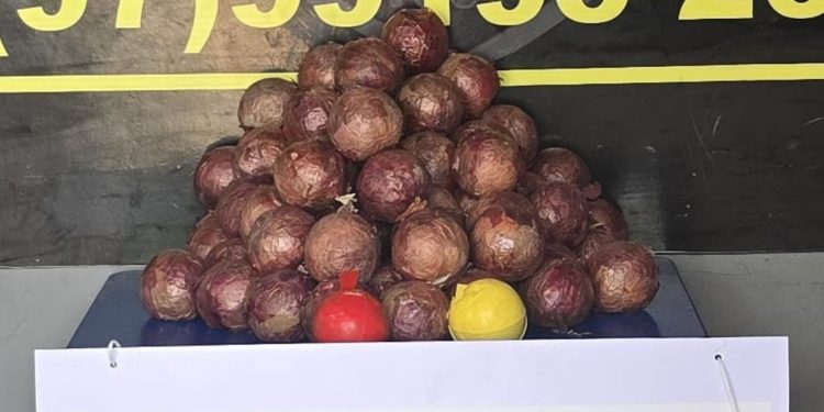 Policiais acham c0c4ína dentro de cebolas falsas no interior do Amazonas