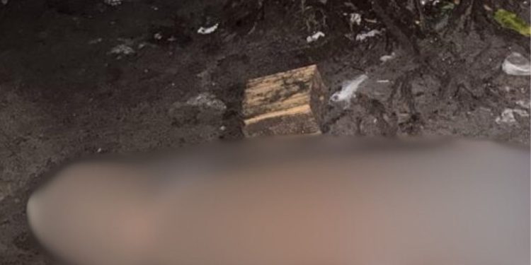 Veja como foi encontrado o rapaz de 23 anos que m0rr3u com tir0s na cabeça em Manaus