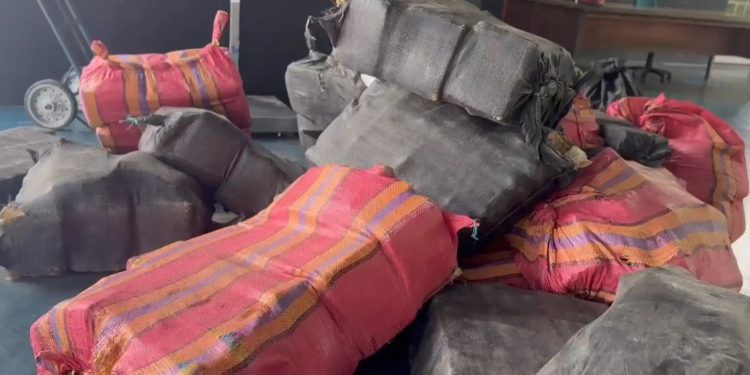 A prisão ocorreu no Porto de Anori. Foto: Divulgação/PC-AM