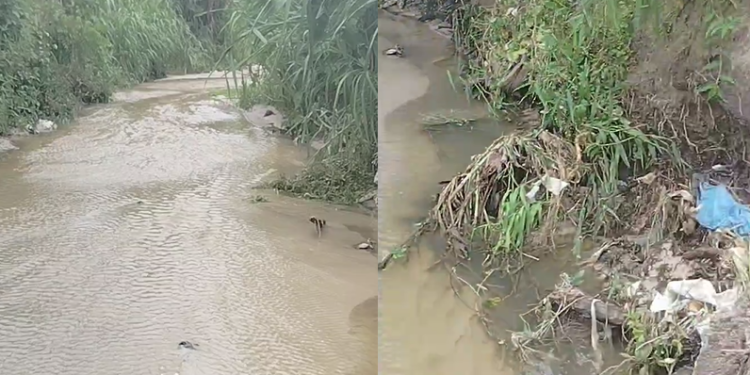 Moradores acionaram a polícia. Foto: Reprodução