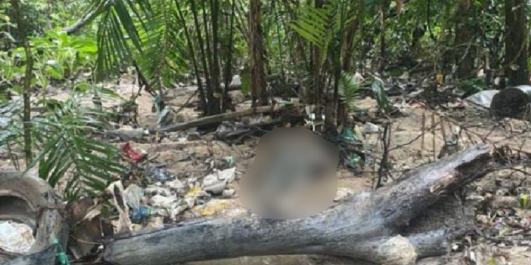 O corpo foi encontrado na tarde desta segunda-feira (17). Foto: Reprodução