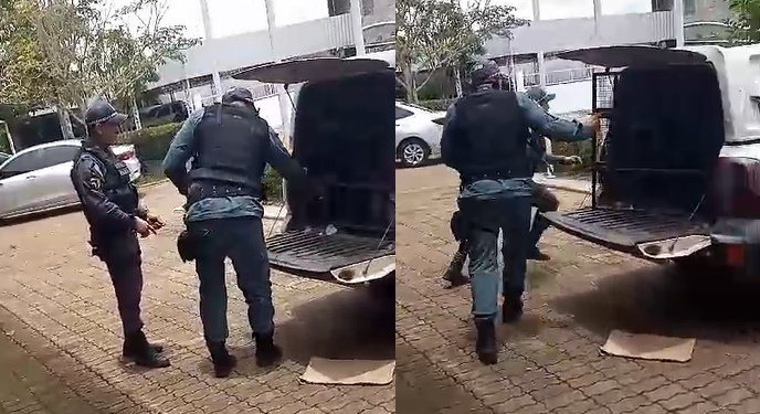 Assim que está prestes a entrar na delegacia, ele foge. Foto: Reprodução