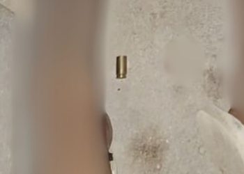 Pist0leiros tiram a vida de irmãos de forma brut4l no Monte das Oliveiras; VEJA