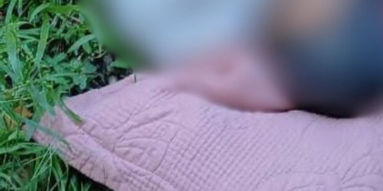 Idoso fica jogado no mato após ser esf4que4d0 nas costas por 'Mercy' no interior do Amazonas