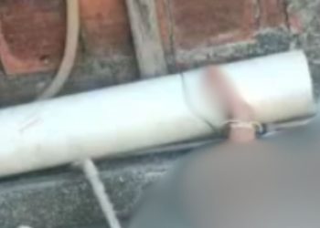 Menina de 4 anos é resgatada após ser amarrada pela tornozelo pelos pais no quintal de casa